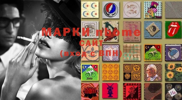 шишки Сатка