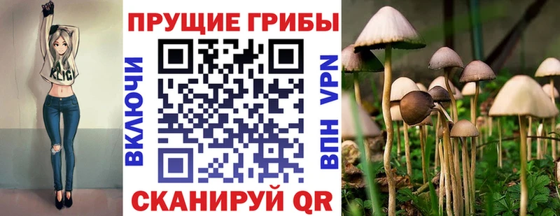 Купить где  Североморск  Галлюциногенные грибы Psilocybine cubensis 